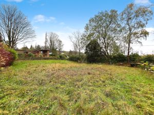 Garden- click for photo gallery